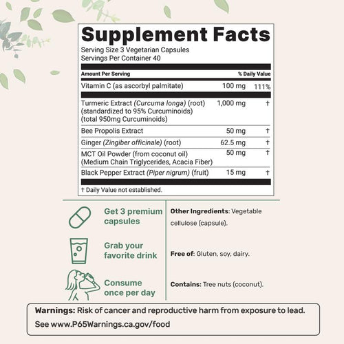 Turmeric Curcumin 95
